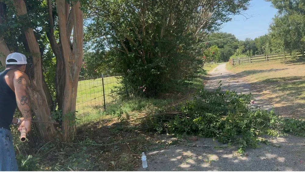 Trusted landscape design for beautiful yards in Malakoff, TX by Elite Preservation Services