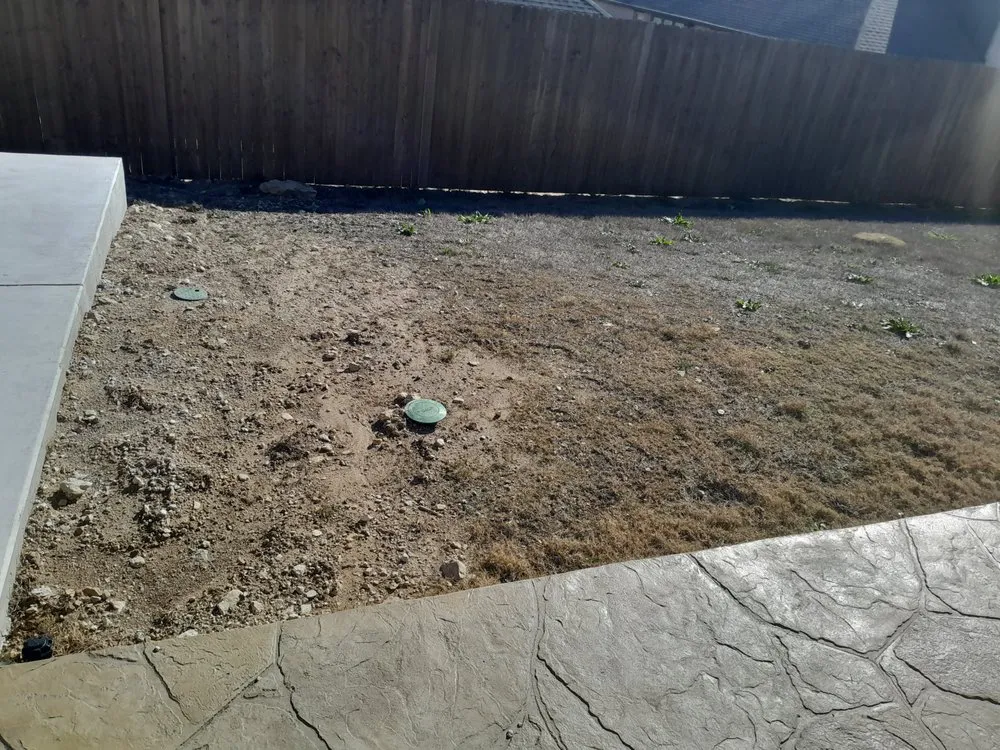 Professional yard maintenance in Houston, TX by Elite pressure washing