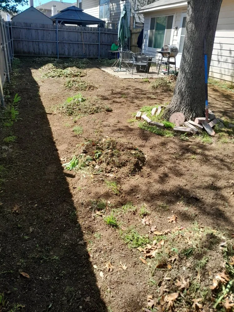 Expert yard maintenance in Houston, TX by Elite pressure washing