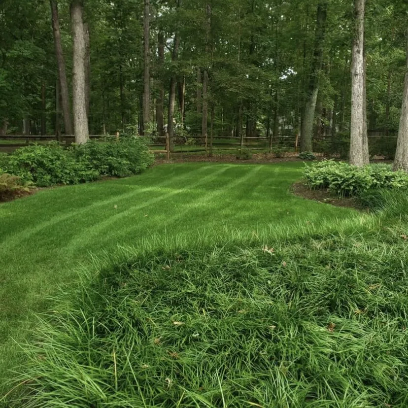 Expert garden landscaping for residential properties across Orlando, FL - Elite Pro Performance