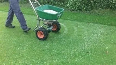 Professional lawn mowing service in Jupiter, FL - Elite Properties