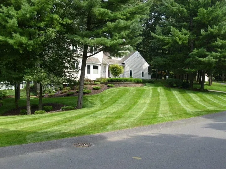 Custom lawn care service in Albany, NY by Elite Property Care