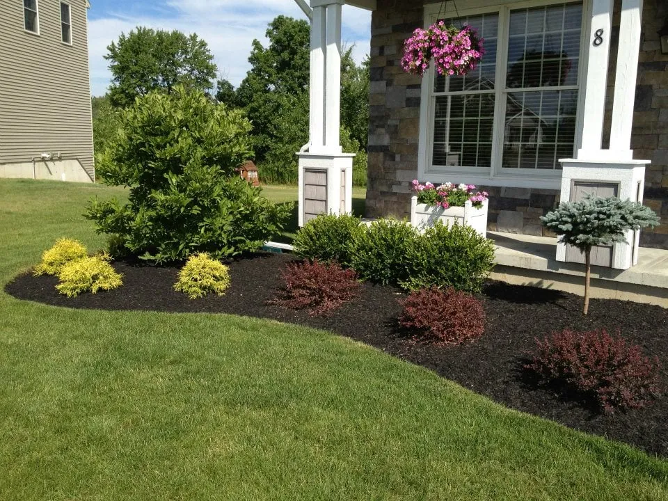 Affordable yard maintenance in Albany, NY - Elite Property Care