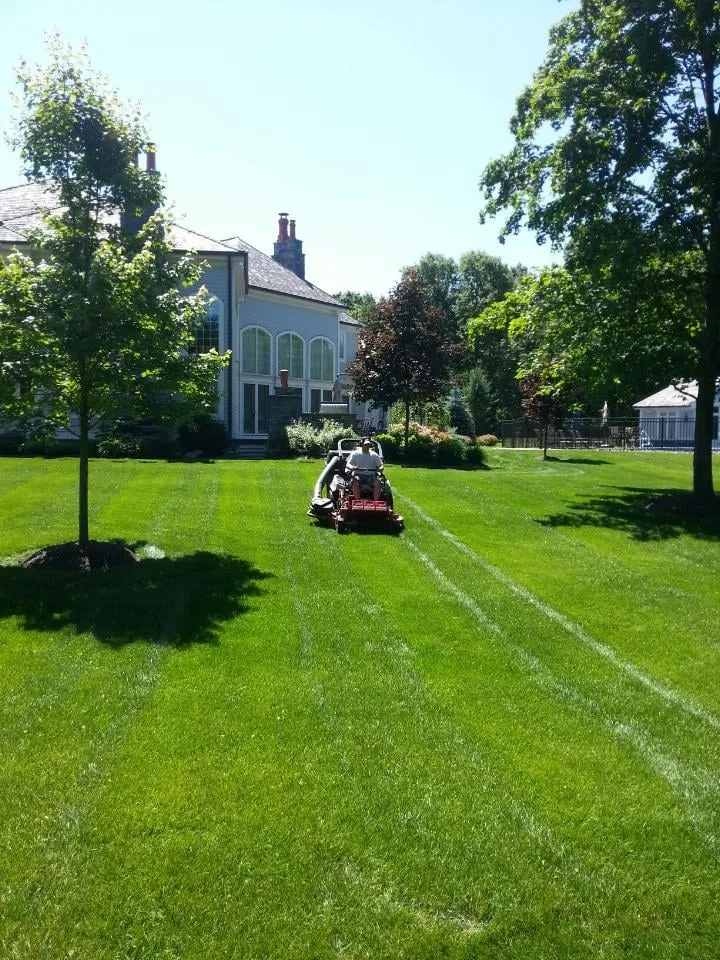 Top-rated yard maintenance in Albany, NY - Elite Property Care