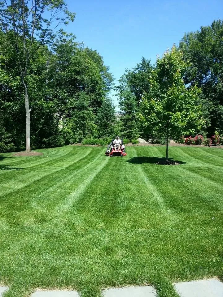 Professional landscape design with custom design in Albany, NY by Elite Property Care