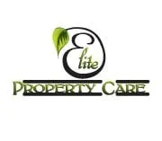 Expert yard cleanup service in Albany, NY - Elite Property Care