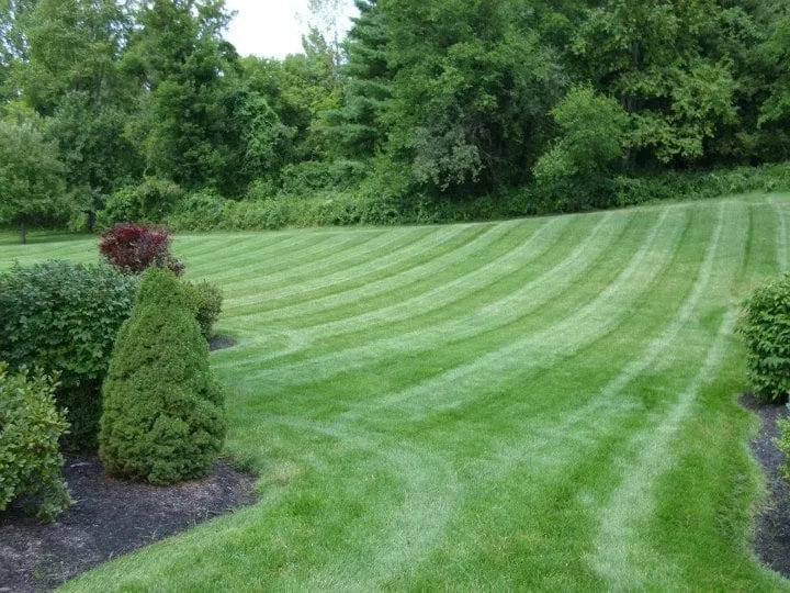 Reliable yard maintenance experts serving Albany, NY - Elite Property Care