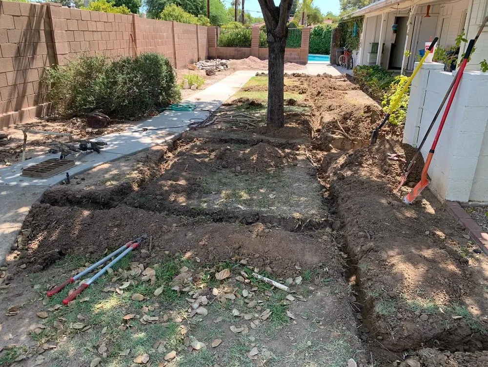 Professional outdoor landscaping in Litchfield Park, AZ - Elite Property Care