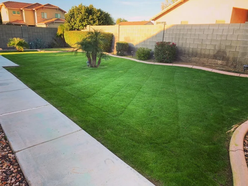 Local yard cleanup service in Litchfield Park, AZ by Elite Property Care