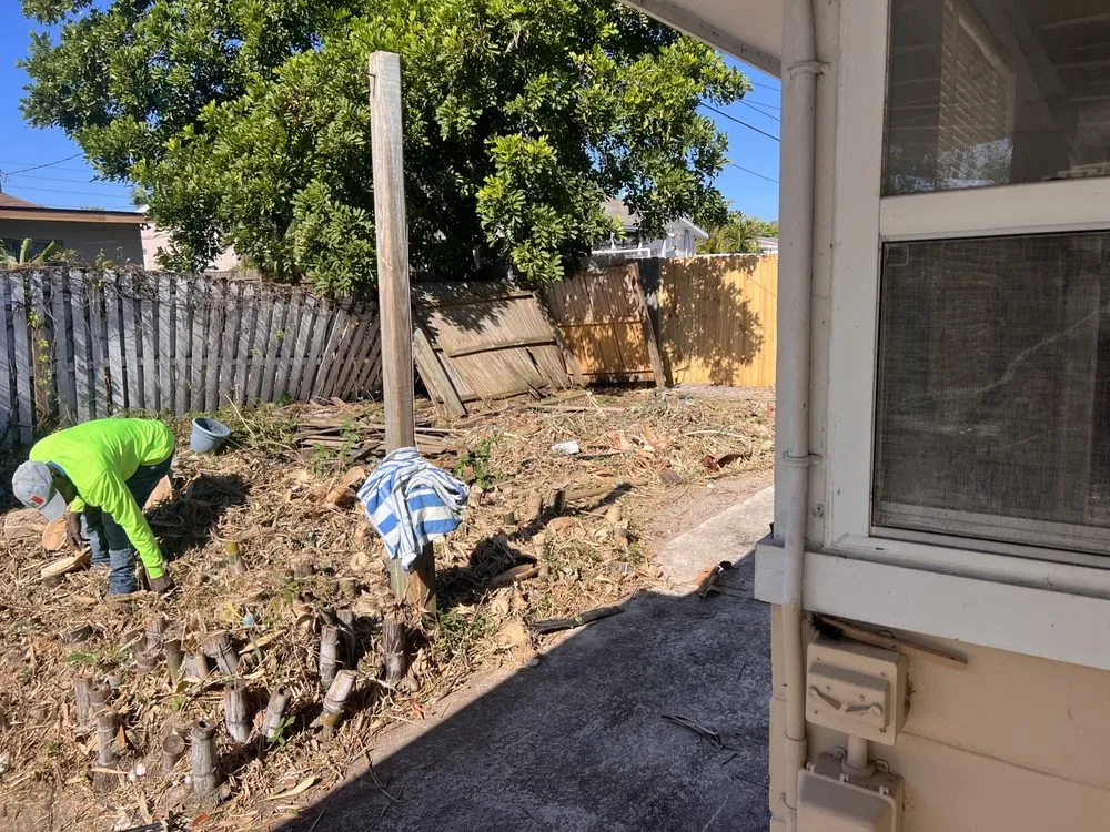Local outdoor landscaping in Temple Terr, FL - Elite Property Care