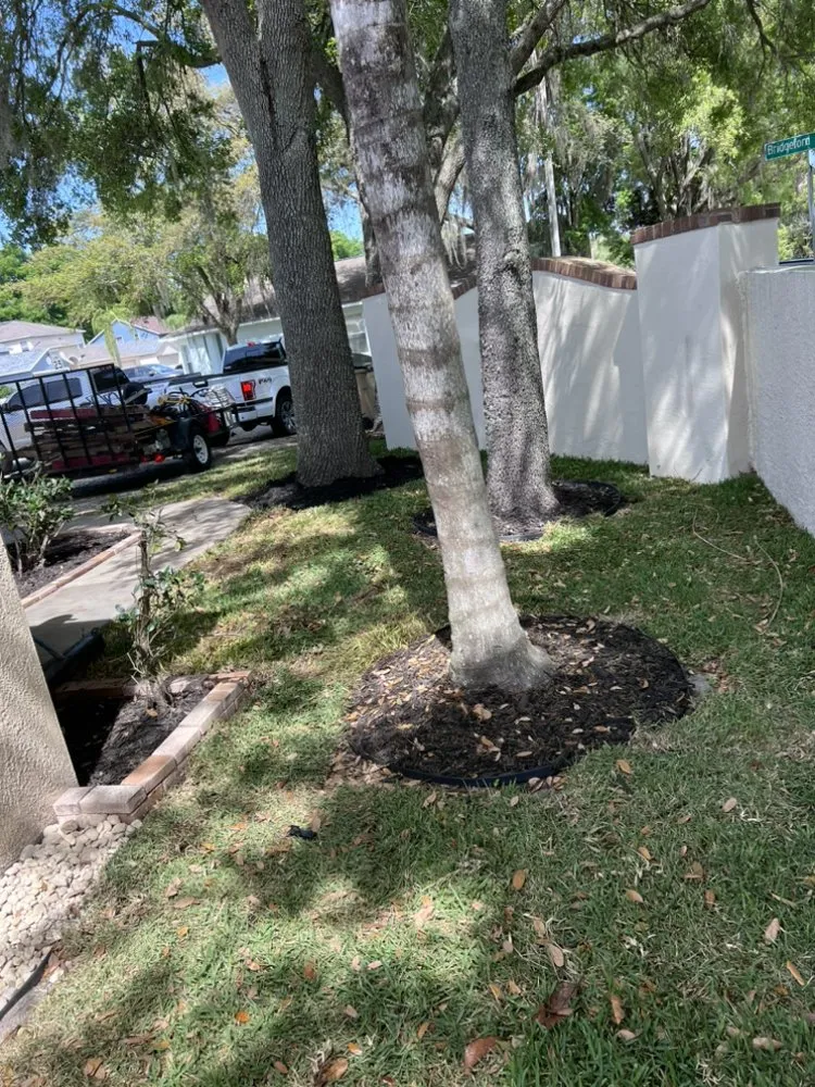 Affordable landscape installation in Temple Terr, FL - Elite Property Care