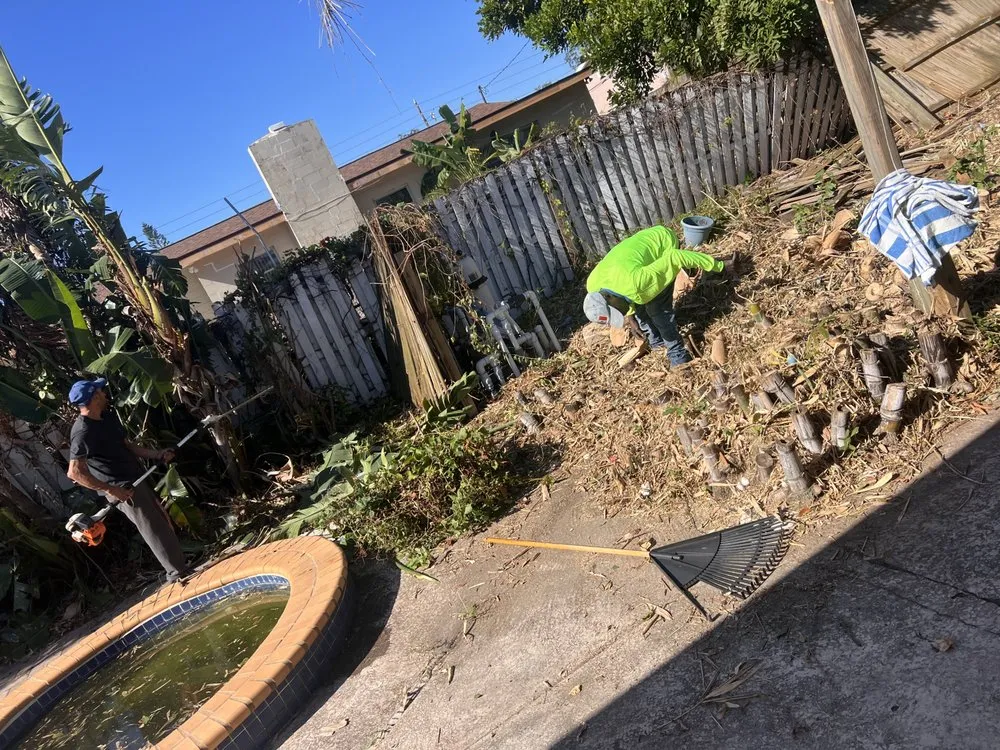 Top-rated landscaping services in Temple Terr, FL by Elite Property Care