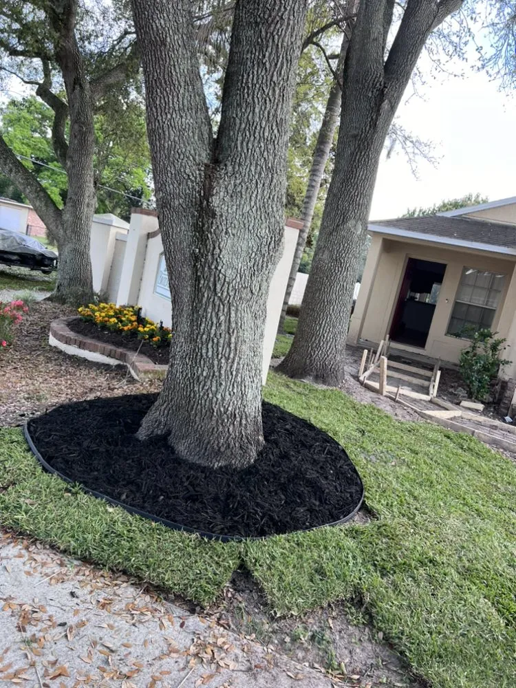 Affordable lawn care service in Temple Terr, FL by Elite Property Care