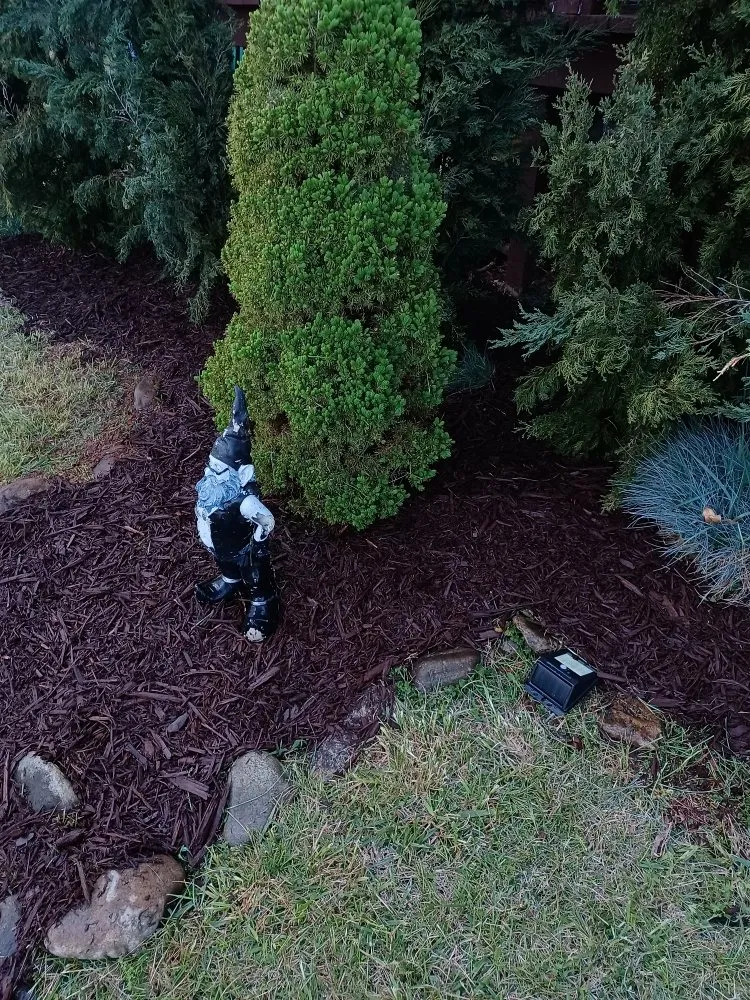 Professional landscape installation for outdoor upgrades in Waynesville, NC by Elite Property Detailing