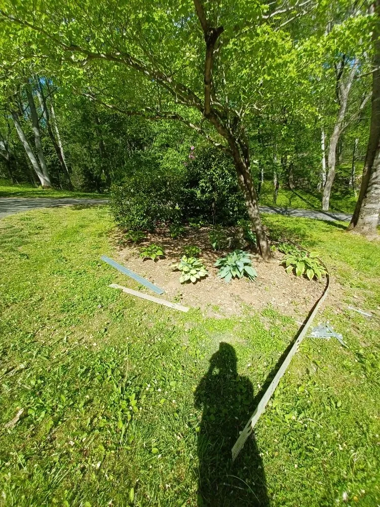 Custom lawn care service in Waynesville, NC by Elite Property Detailing