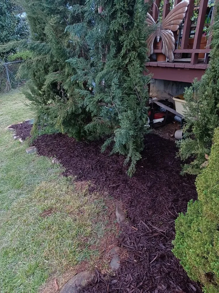 Custom outdoor landscaping experts serving Waynesville, NC - Elite Property Detailing