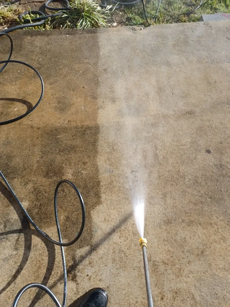 Trusted yard cleanup service for year-round maintenance across Waynesville, NC - Elite Property Detailing