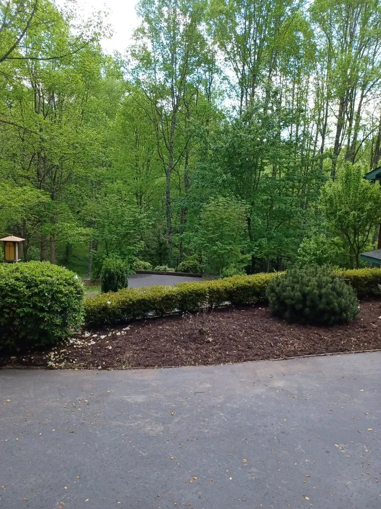 Trusted yard maintenance in Waynesville, NC by Elite Property Detailing