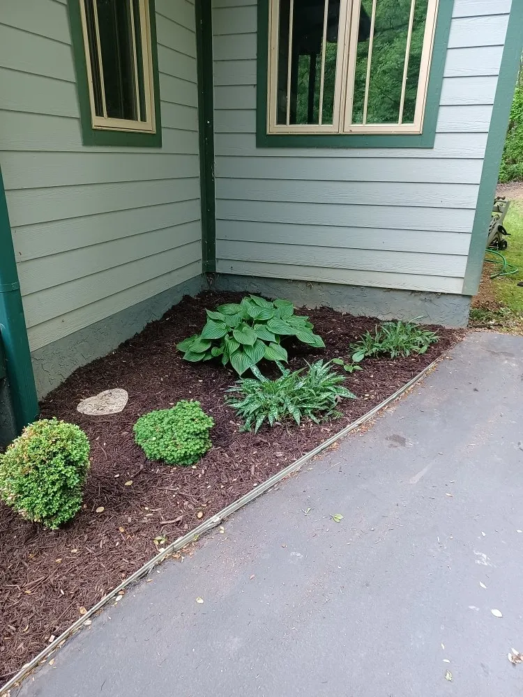 Custom yard cleanup service near you across Waynesville, NC - Elite Property Detailing