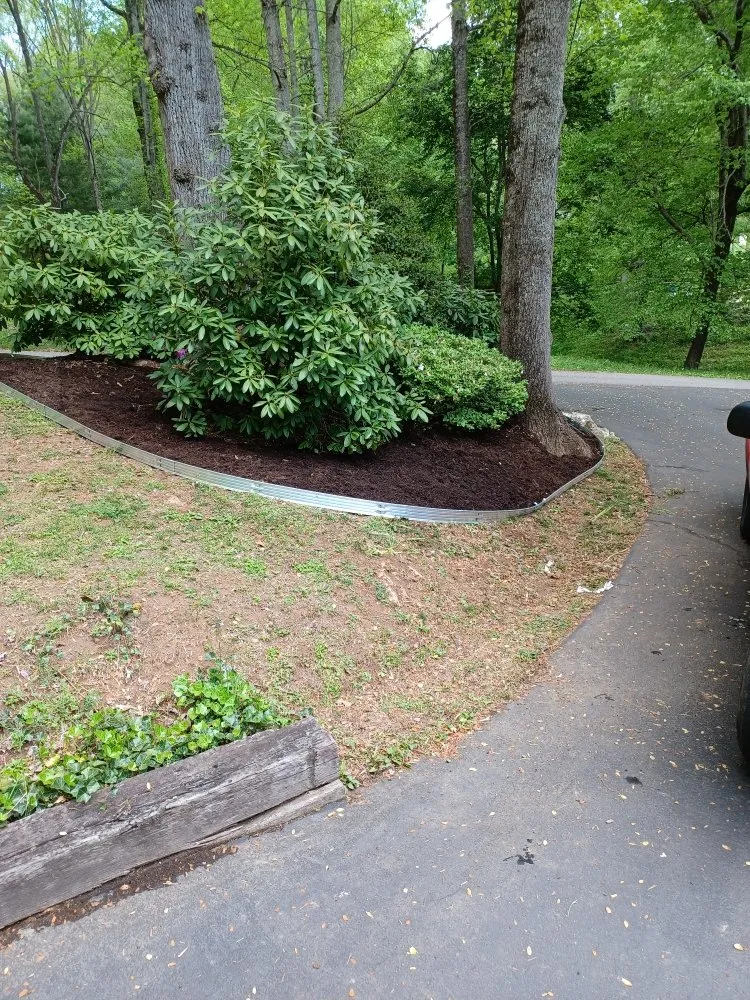 Custom yard cleanup service experts serving Waynesville, NC - Elite Property Detailing