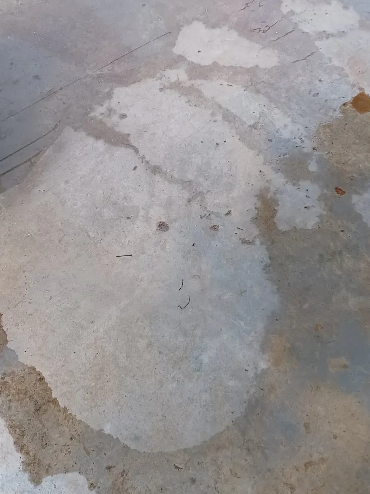 Affordable residential landscaping in Waynesville, NC by Elite Property Detailing