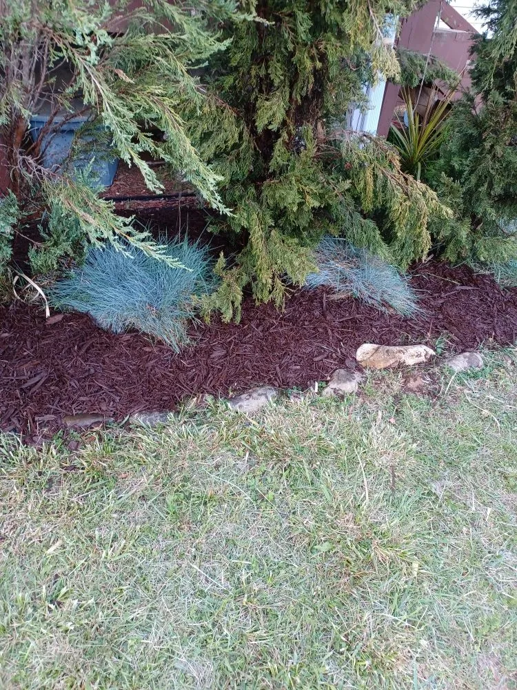 Reliable lawn care service in Waynesville, NC - Elite Property Detailing