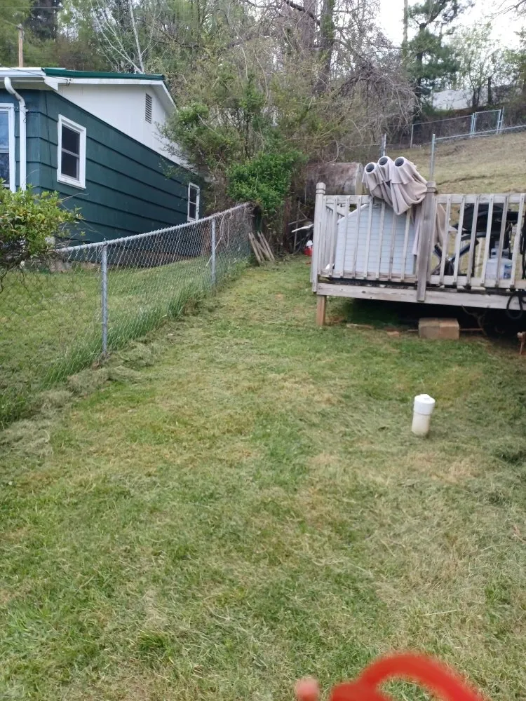 Top-rated yard cleanup service in Waynesville, NC by Elite Property Detailing