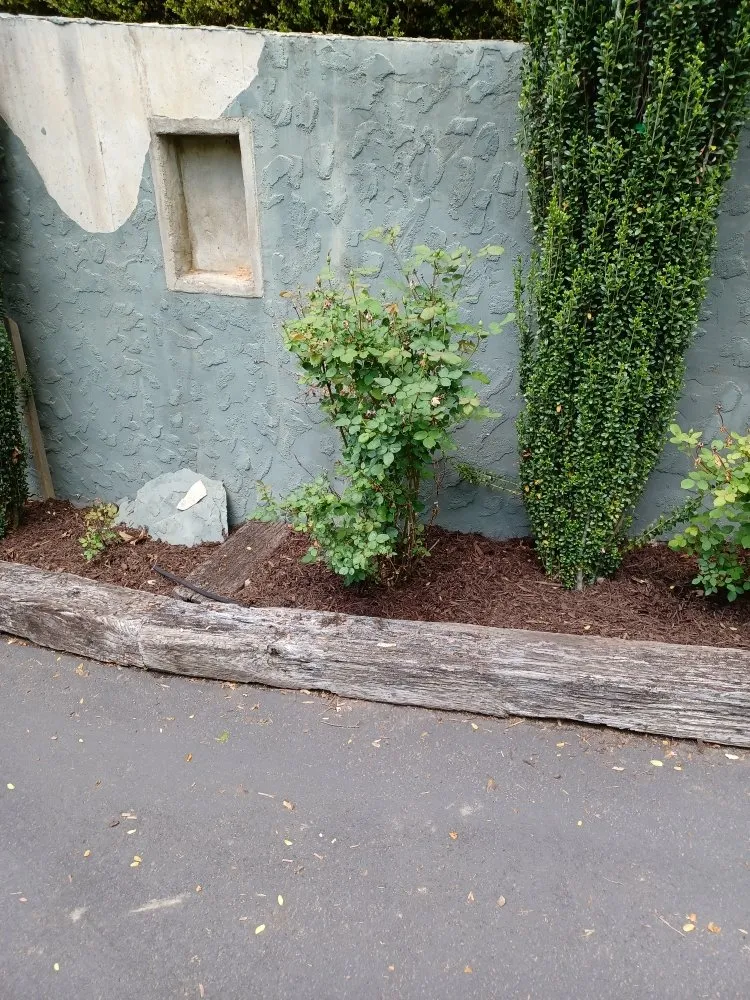 Affordable outdoor landscaping in Waynesville, NC - Elite Property Detailing