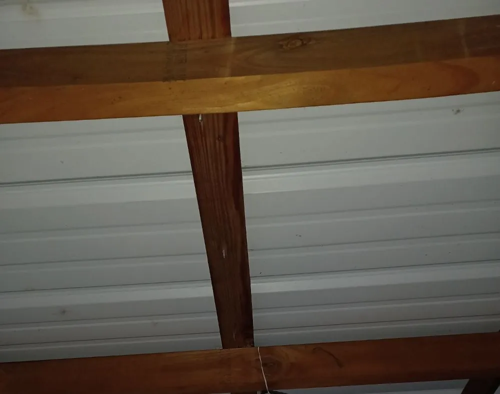 Custom outdoor landscaping experts serving Waynesville, NC - Elite Property Detailing