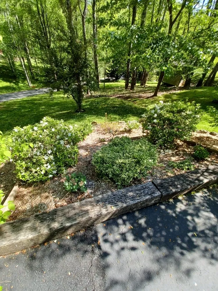 Affordable garden landscaping experts serving Waynesville, NC - Elite Property Detailing