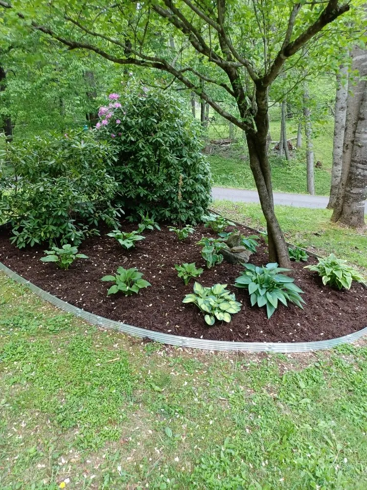 Custom landscape installation for homes in Waynesville, NC by Elite Property Detailing