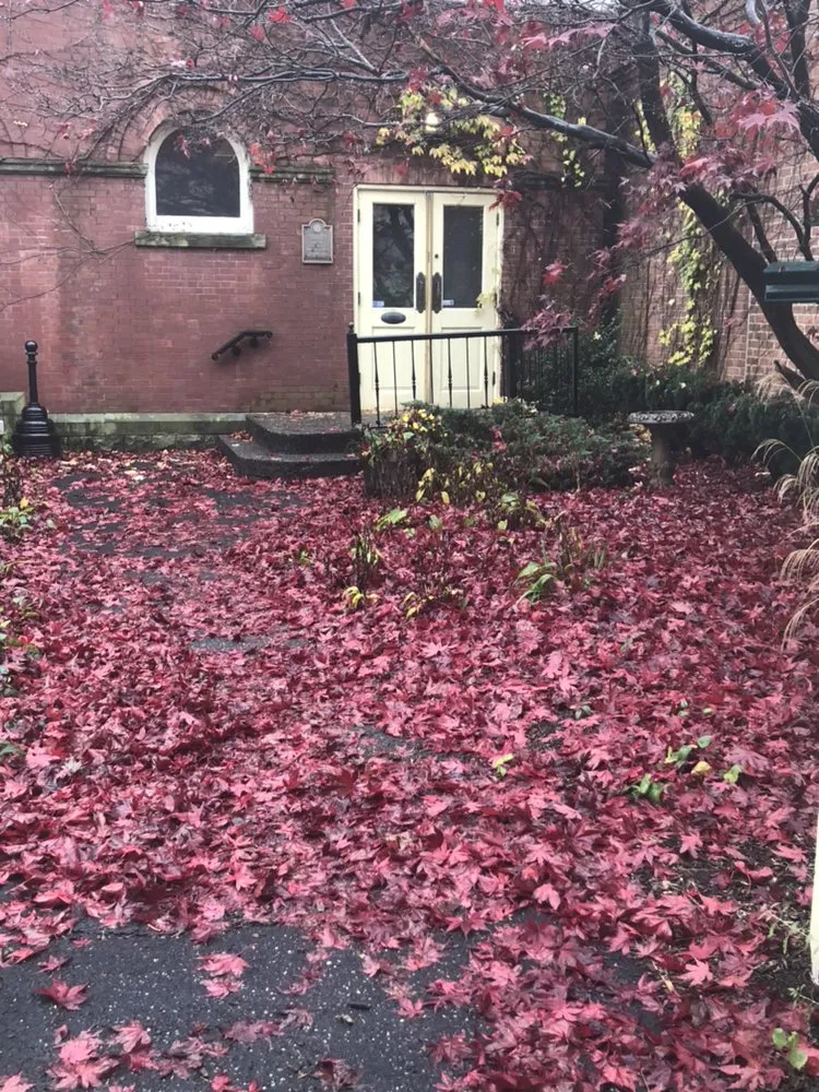 Trusted landscaping services in Wolcott, CT - Elite Property Management Services Group