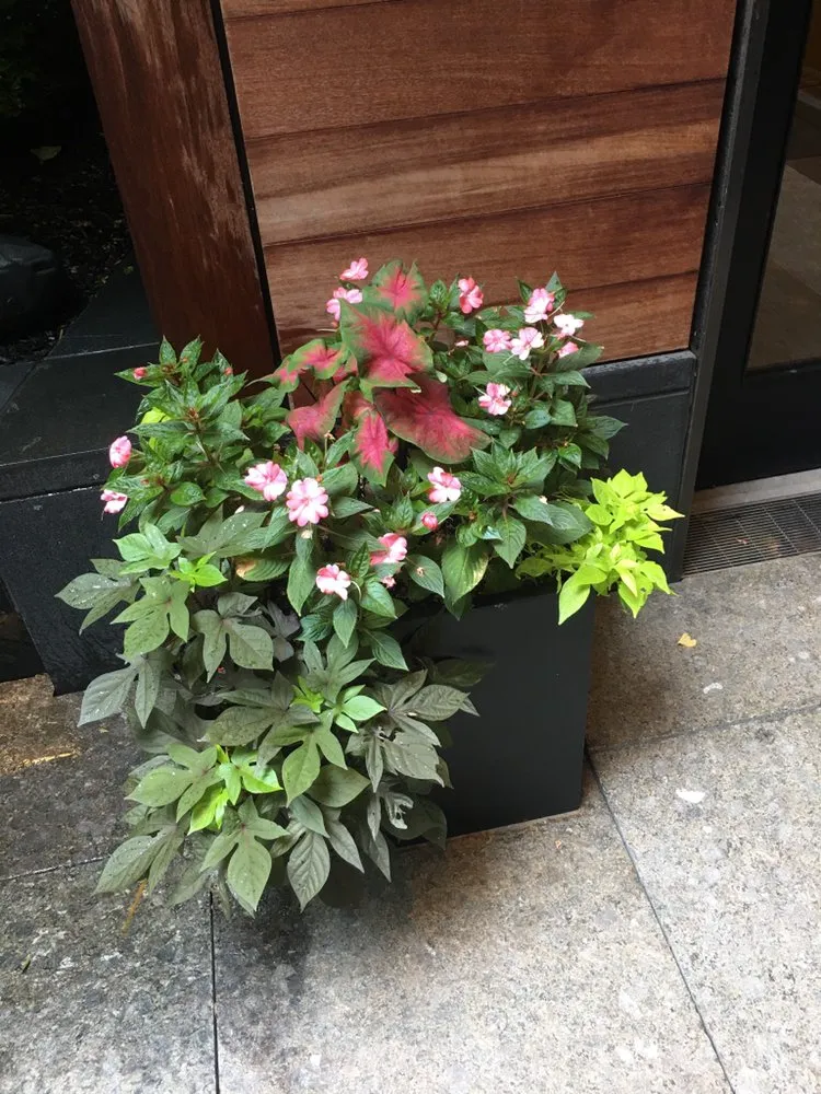 Local yard cleanup service for homes across Wolcott, CT - Elite Property Management Services Group