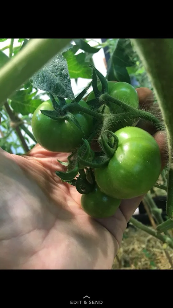 Custom landscape installation experts serving Wolcott, CT - Elite Property Management Services Group