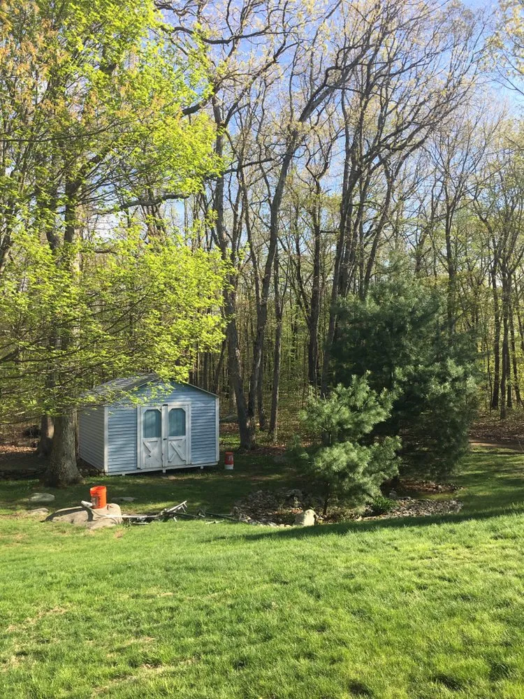 Reliable yard cleanup service experts serving Wolcott, CT - Elite Property Management Services Group