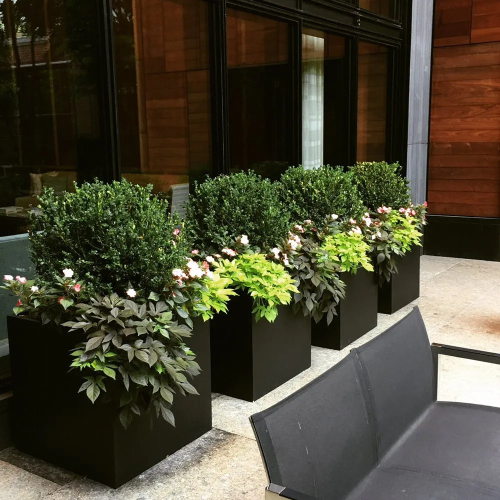 Affordable outdoor landscaping for year-round maintenance in Wolcott, CT by Elite Property Management Services Group