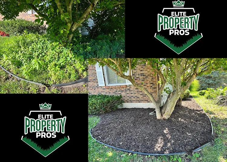 Reliable lawn mowing service in Bath Township, MI by Elite Property Pros