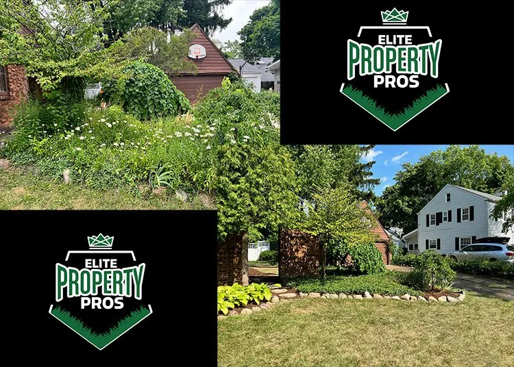 Expert yard cleanup service in Bath Township, MI by Elite Property Pros