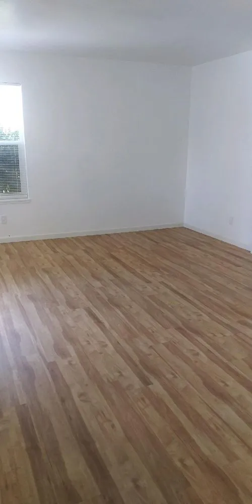 Professional landscape installation in El Dorado Hills, CA by Elite Property Renovation