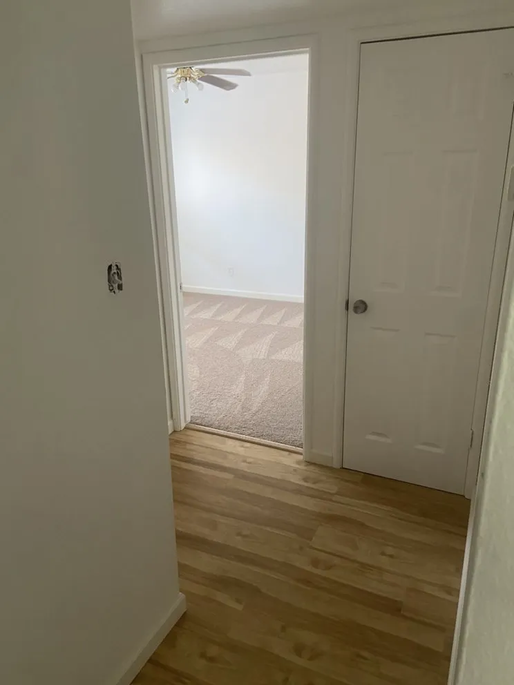 Reliable lawn care service in El Dorado Hills, CA by Elite Property Renovation