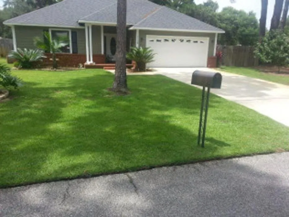 Local landscape design for residential properties across Brookhaven, MS - Elite Property Services