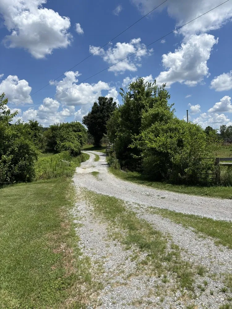 Expert outdoor landscaping in Eddyville, KY by Elite Property Services