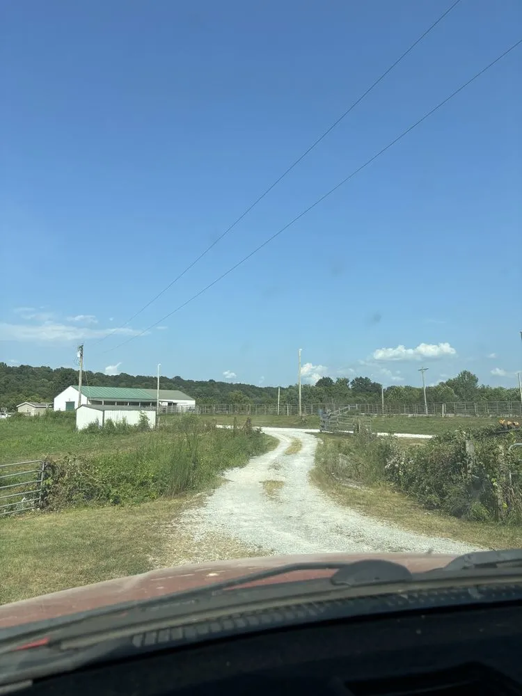 Expert landscape design experts serving Eddyville, KY - Elite Property Services