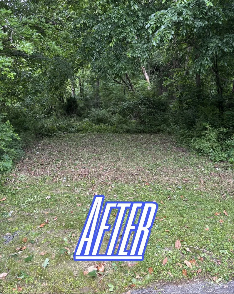 Trusted yard maintenance in Eddyville, KY - Elite Property Services