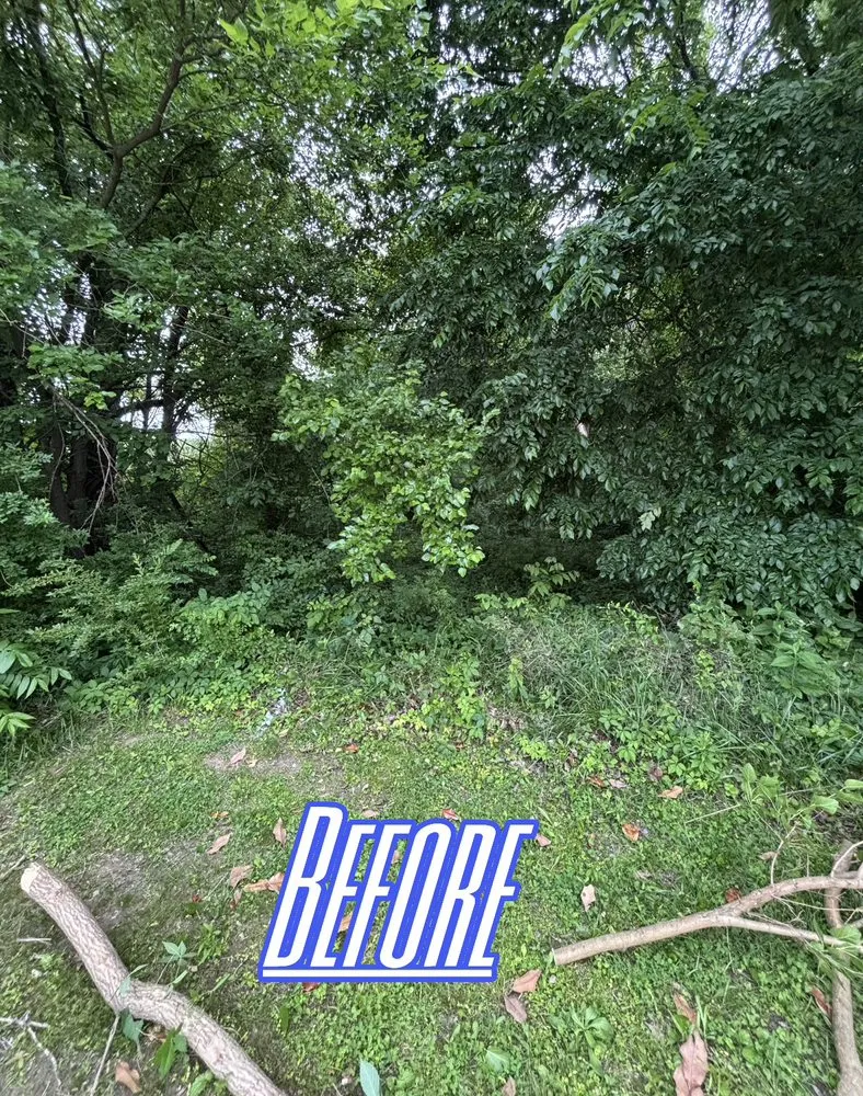 Expert lawn care service for year-round maintenance across Eddyville, KY - Elite Property Services