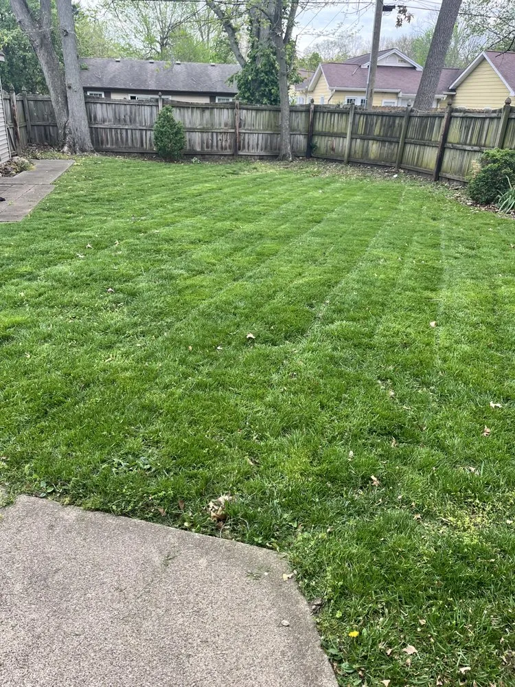 Affordable yard cleanup service in West Terre Haute, IN - Elite Property Services