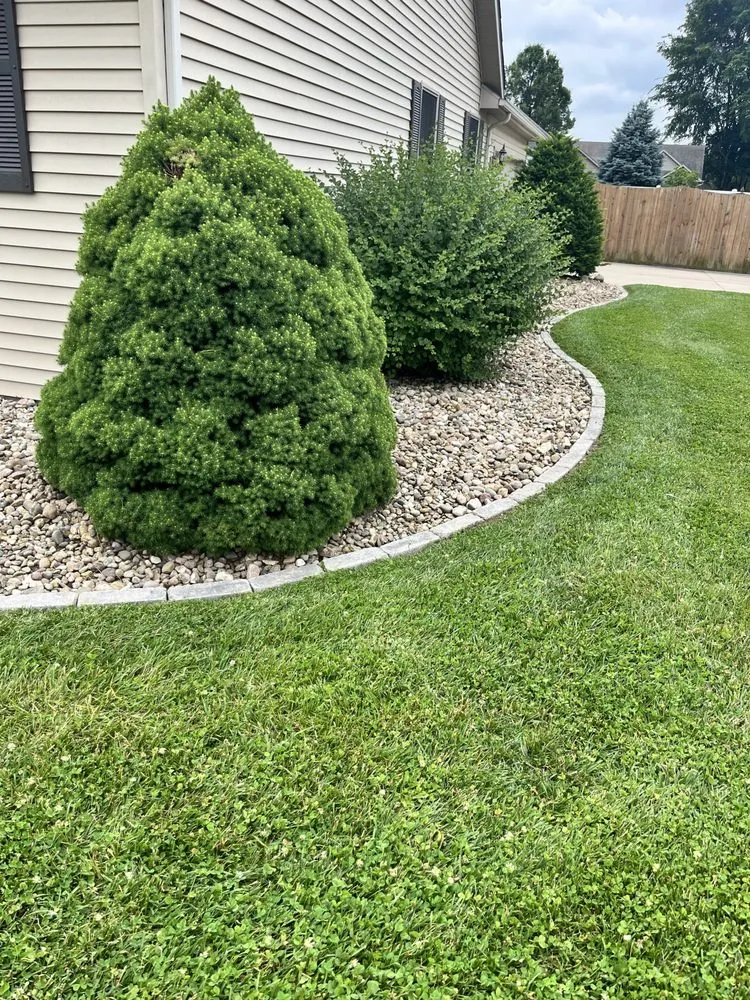 Expert yard maintenance for year-round maintenance across West Terre Haute, IN - Elite Property Services