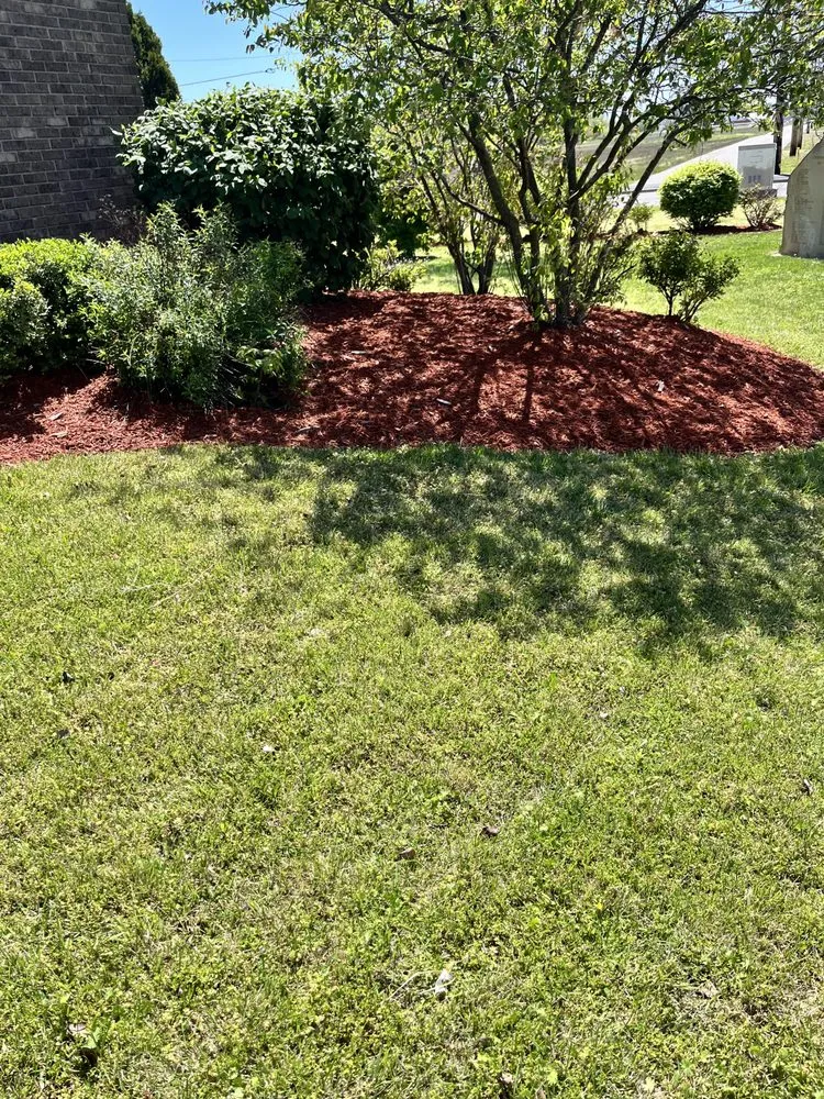 Custom lawn care service in West Terre Haute, IN - Elite Property Services