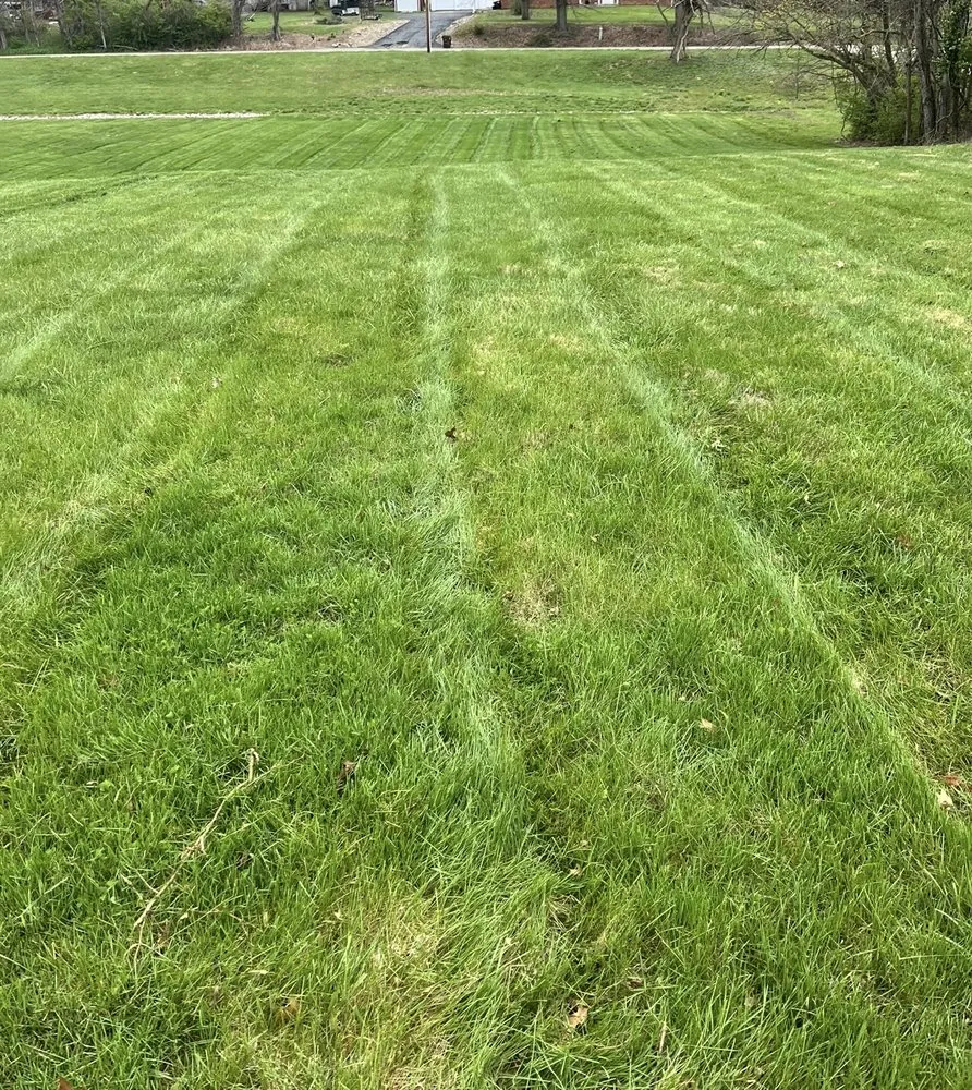 Reliable yard cleanup service in West Terre Haute, IN - Elite Property Services