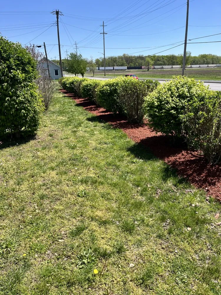 Custom landscape installation for beautiful yards in West Terre Haute, IN by Elite Property Services
